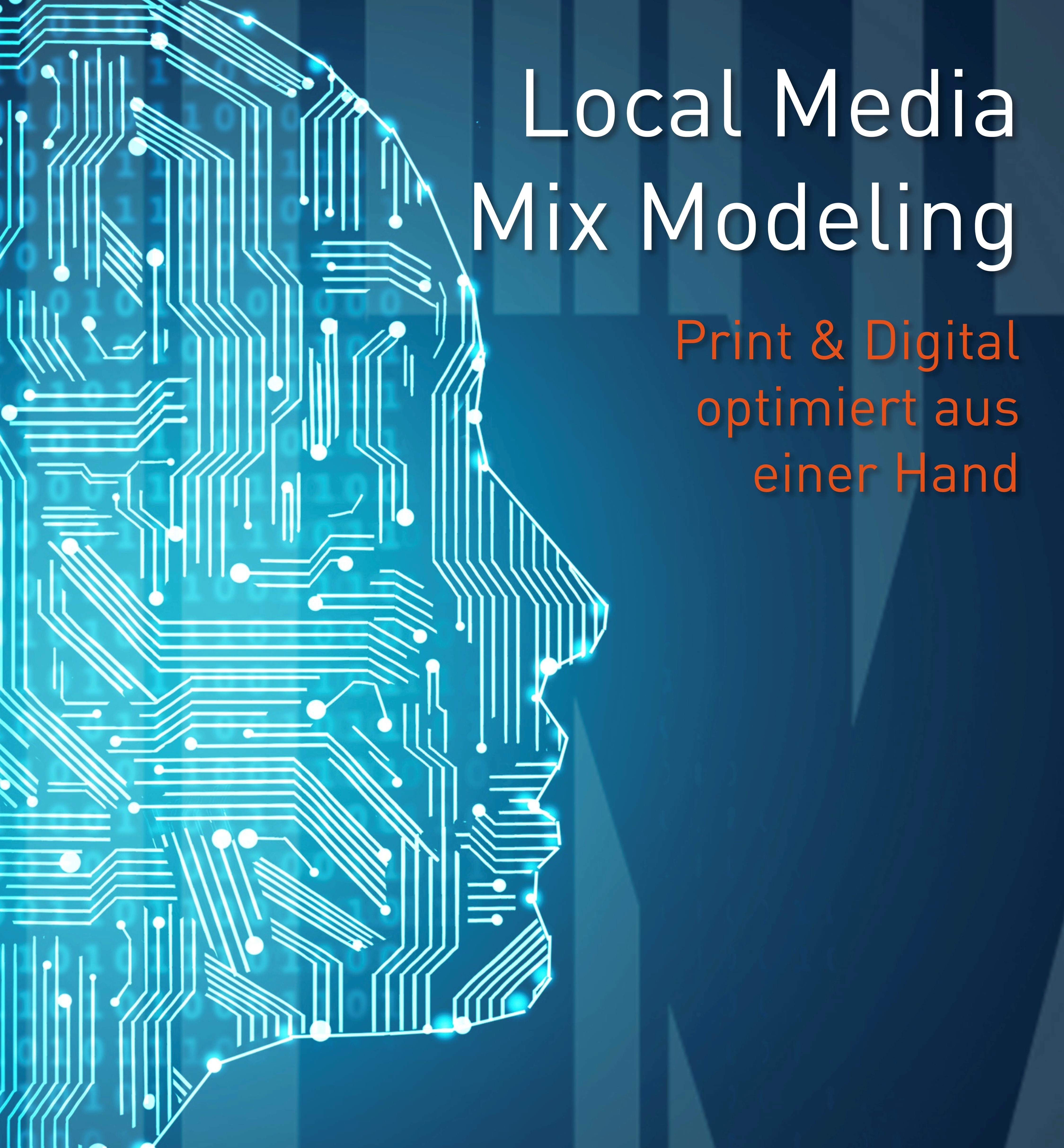 Grafik Local Media Mix Modelling